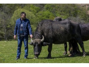 Pirinççi köyü İtalyanlar’ın ilgi odağı oldu