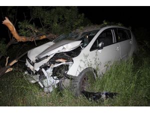 Doktorun kullandığı otomobil ağaca çarptı: 4 yaralı