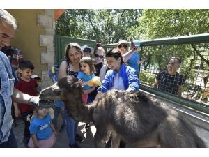 Keçiören Evcil Hayvanlar Parkı ziyaretçilerini bekliyor