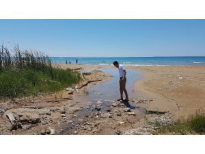 Çolaklı Halk Plajı kaderine terk edildi