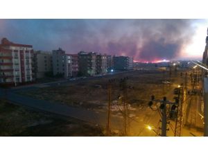 Viranşehir’de anız yangını