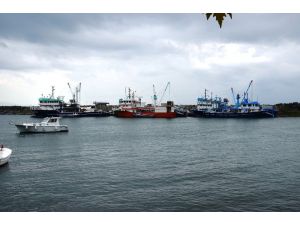 ‘Orta su trol balık avcılığının yasaklanması’ talebi