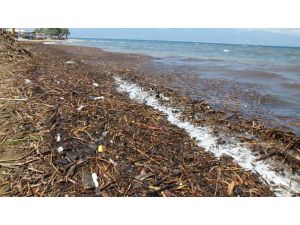 Burhaniye’de selin getirdiği çöpler denizi kirletti