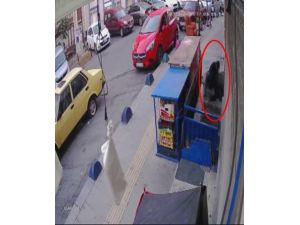 Şişli’de 15 dakikada 2 evi soyan hırsızlar kamerada