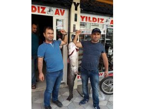 44 kiloluk yayın balığı yakaladılar