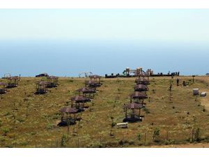 Kartaltepe tabiat parkı yatırımları hızla devam ediyor