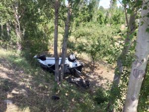 Kontrolden çıkan otomobil ağaça çarptı: 1 yaralı