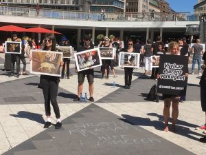 İsveç’te hayvan hakları için sessiz protesto gösterisi