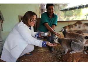 Gaziantep Hayvanat Bahçesi, doğurganlık oranıyla Avrupa’da birincisi