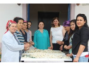 Samandağlı kadınların ‘İpek Köyü’nde diriliş öyküsü