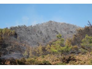 Marmaris’teki orman yangını söndürüldü