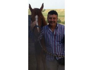 Atın teptiği veteriner hekim öldü