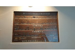 Hastanede bir garip sergi