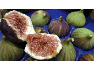 Bursa’nın siyah incirinin ihracatı 7 liradan başlıyor