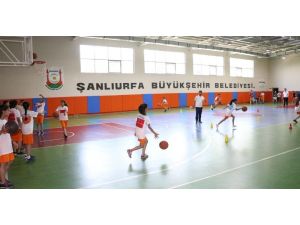 Türkiye’nin en genç ilinde basketbola yoğun ilgi