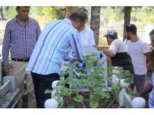 Bekir Çınar, kabri başında anıldı