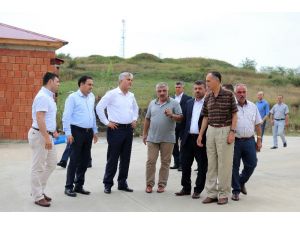 Başkan Türkmen Ak Parti Milletvekili Günnar ile Şinik OSB’yi gezdi