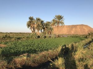 Sudan’da e-tarıma geçilecek