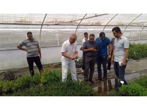 Türkiye tarım alanındaki tecrübelerini Ürdün ile paylaşıyor