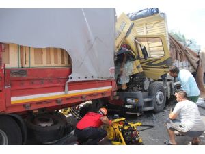 TEM’de feci kaza: 1 ölü 1 yaralı