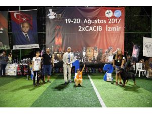 Bayraklı’da köpek ırkları yarıştı