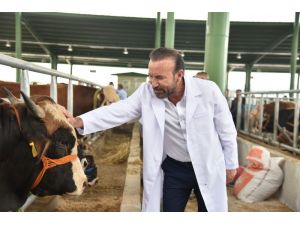 Başkan Doğan hayvan pazarında incelemelerde bulundu