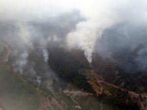Teröristlerin çıkardığı orman yangınını söndürme çalışmaları sürüyor