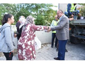 Kastamonu Belediyesi, 3 bin 500 gül fidesi dağıttı