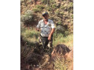 Keklik avlamak için kurulan 8 tuzak düzeneği ele geçirildi