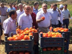 AK Parti Milletvekili Önal: "Çiftçilerimizin yüzü desteklemelerle gülüyor"