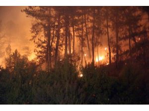 Orman yangınlarına karşı yasaklar açıklandı