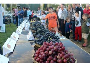 3. Trakya Bağ Bozumu Festivali’nde üzüm güzeli seçildi