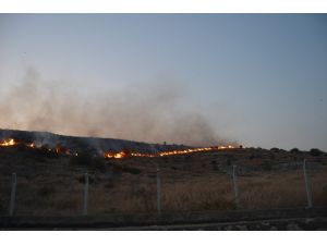 Adana’da makilik alanda yangın