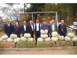 Başkan Yağcı Kestane Kabağı Festivali’ne katıldı