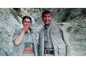 Mardin’de PKK’ya büyük darbe