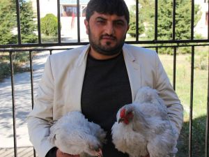 Altın yumurtlayan dernek