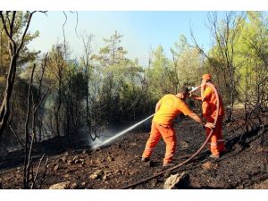 Antalya’a orman yangını