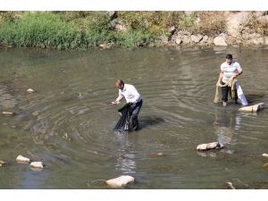 Dicle’de toplu balık ölümleri