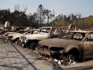 California'daki yangın 1 milyar dolarlık zarara neden oldu