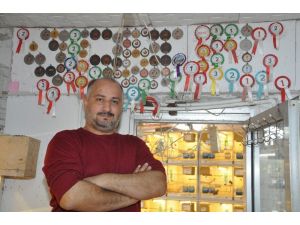 En iyi dostu hayvanlar