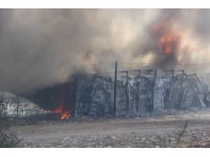 Sivas’ta ot yangını paniğe sebep oldu
