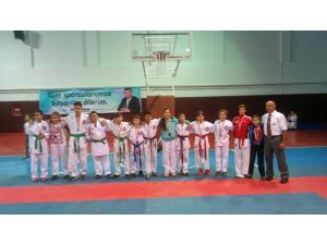 Söke’nin Şimşek Karatecileri 15’de 15 yaptı