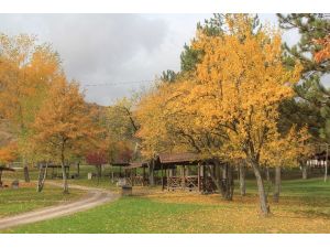 Bozkır’da sonbahar