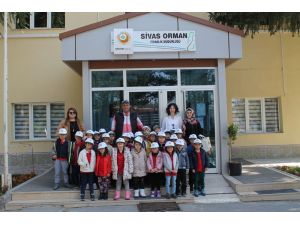 Anasınıfı öğrencilerinden Sivas Orman Fidanlık Müdürlüğü’ne ziyaret