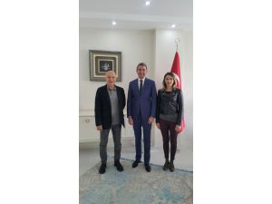 Omurga eğriliklerini engelleme çalışmaları