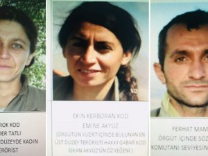 Şırnak'ta 3 terörist etkisiz hale getirildi