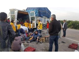 Narenciye işçilerini taşıyan minibüs kaza yaptı: 1 ölü, 24 yaralı