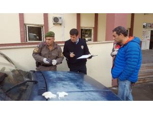 Manavgat’ta silahlı çatışma: 1 yaralı