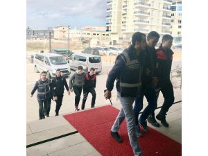 Edirne’de Cezayir uyruklu AVM fareleri yakalandı