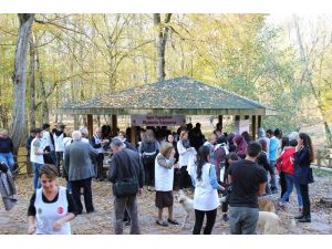 Öğrenci ve öğretmenler, ’spor diyabeti yener’ sloganıyla Belgrad Ormanı’nda koştu